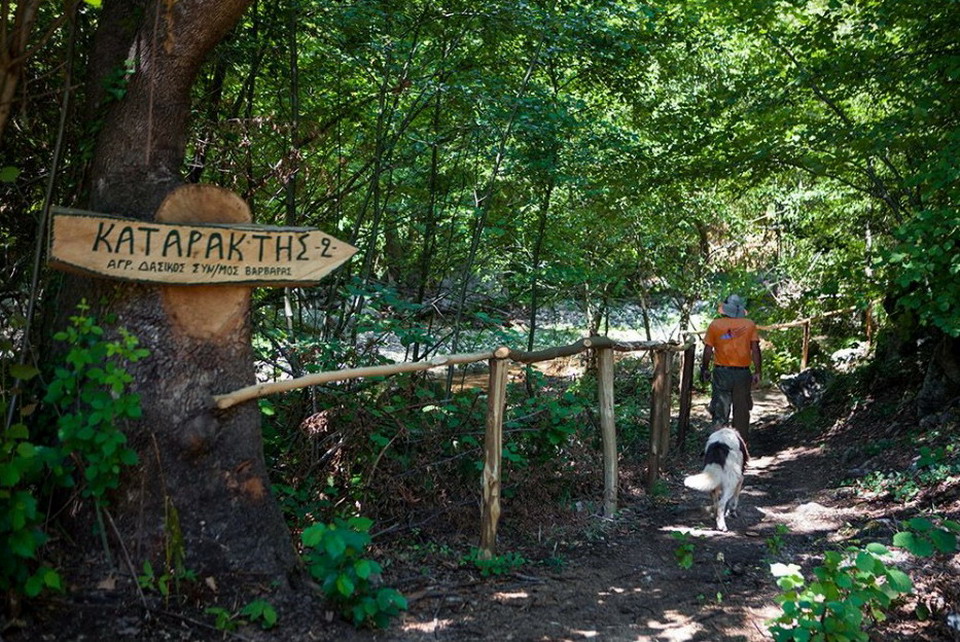  Varvara vodopadi blizu Olimpijade 